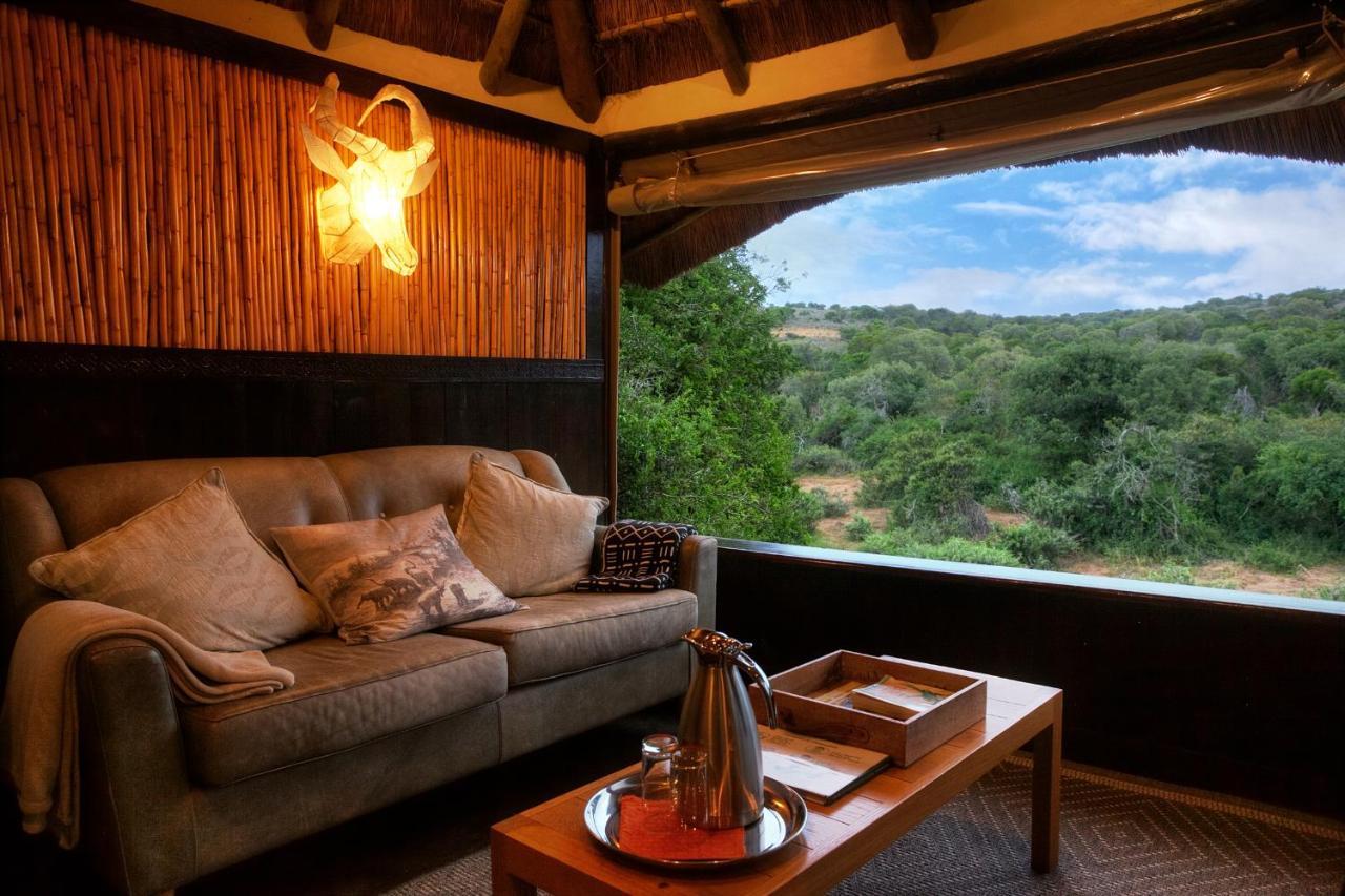 Safari Lodge - Amakhala Doğa Koruma Alanı Dış mekan fotoğraf