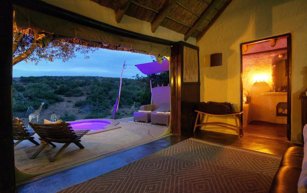 Safari Lodge - Amakhala Doğa Koruma Alanı Dış mekan fotoğraf
