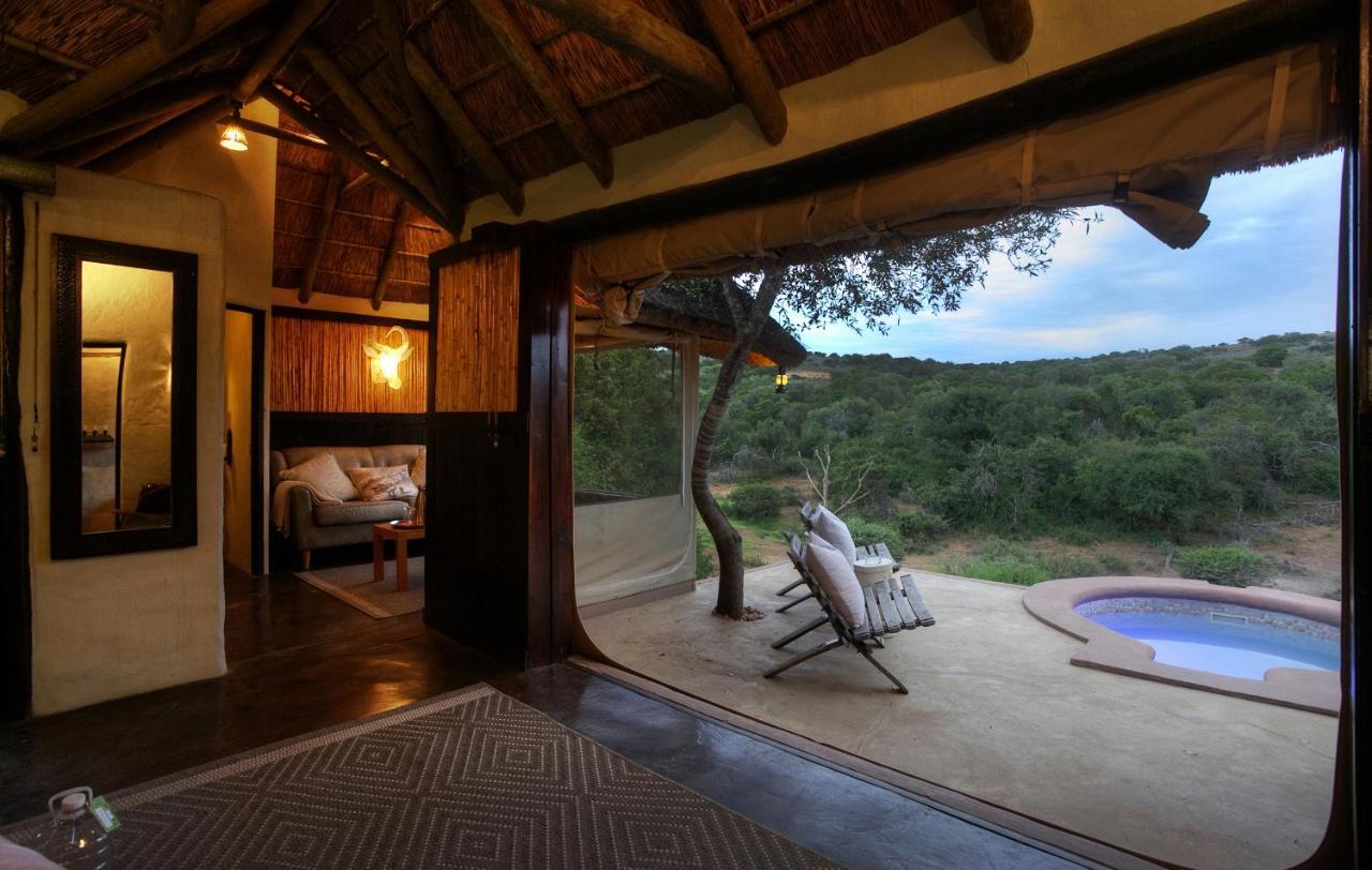 Safari Lodge - Amakhala Doğa Koruma Alanı Dış mekan fotoğraf