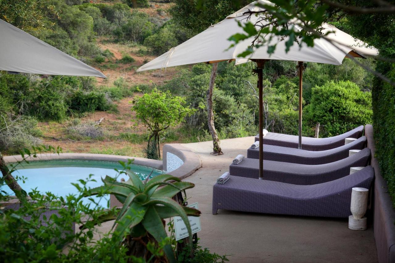 Safari Lodge - Amakhala Doğa Koruma Alanı Dış mekan fotoğraf