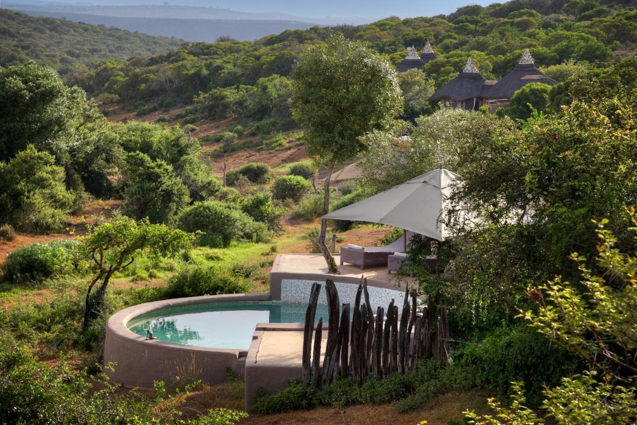 Safari Lodge - Amakhala Doğa Koruma Alanı Dış mekan fotoğraf