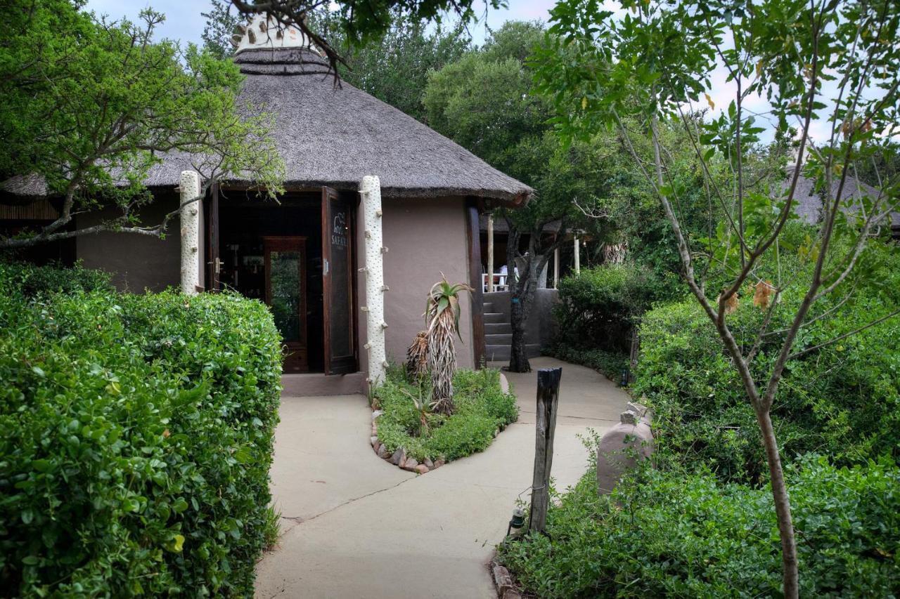 Safari Lodge - Amakhala Doğa Koruma Alanı Dış mekan fotoğraf