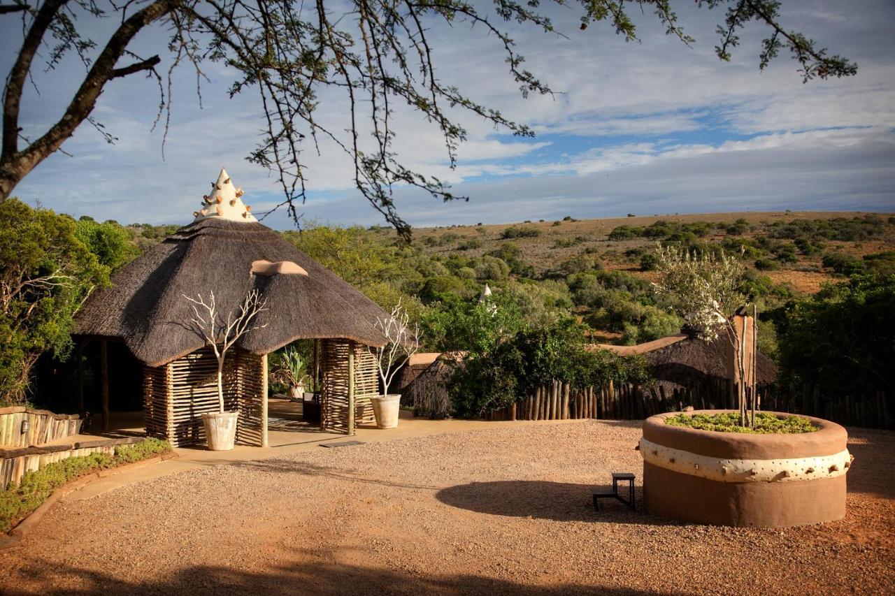 Safari Lodge - Amakhala Doğa Koruma Alanı Dış mekan fotoğraf