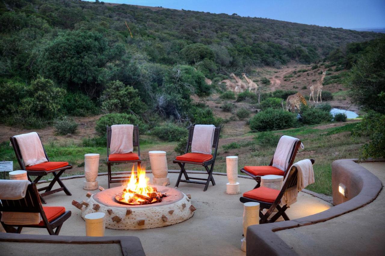 Safari Lodge - Amakhala Doğa Koruma Alanı Dış mekan fotoğraf