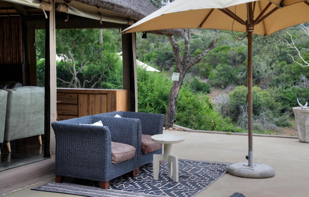 Safari Lodge - Amakhala Doğa Koruma Alanı Dış mekan fotoğraf