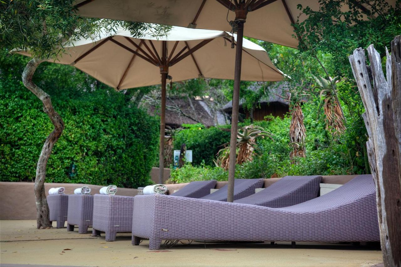 Safari Lodge - Amakhala Doğa Koruma Alanı Dış mekan fotoğraf
