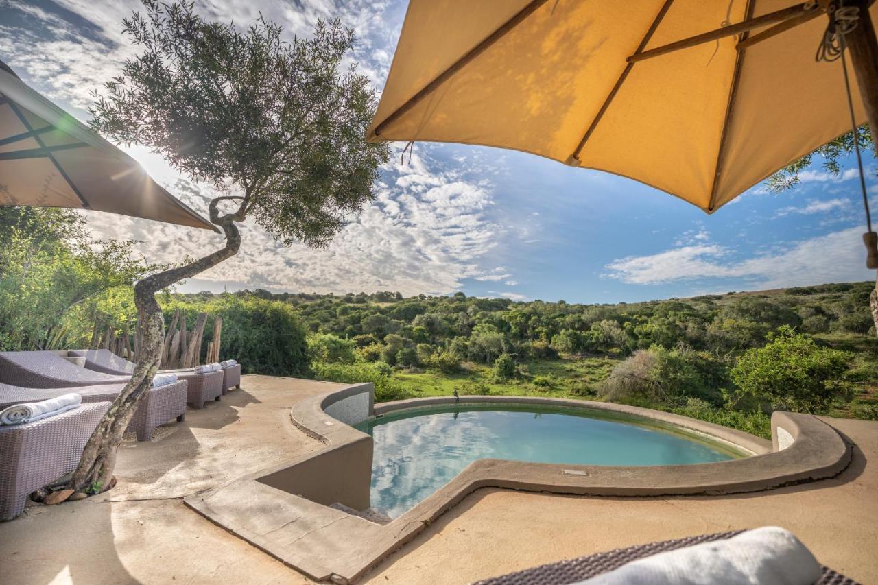 Safari Lodge - Amakhala Doğa Koruma Alanı Dış mekan fotoğraf