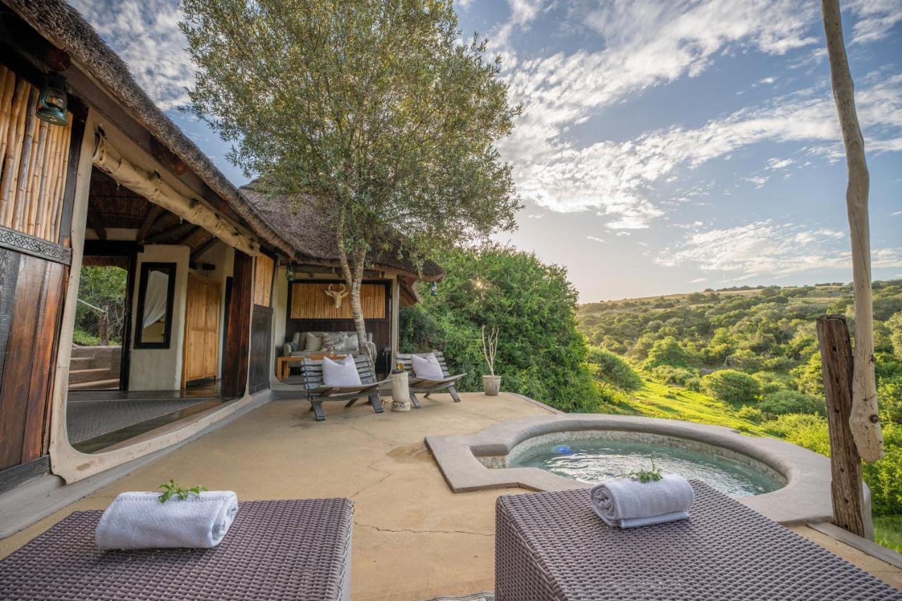 Safari Lodge - Amakhala Doğa Koruma Alanı Dış mekan fotoğraf
